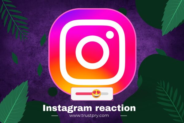 Instagram Reaction